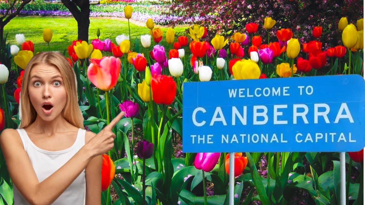 Exploring the Canberra Tulip Farm - Dutch Beauty in the Capital!!!