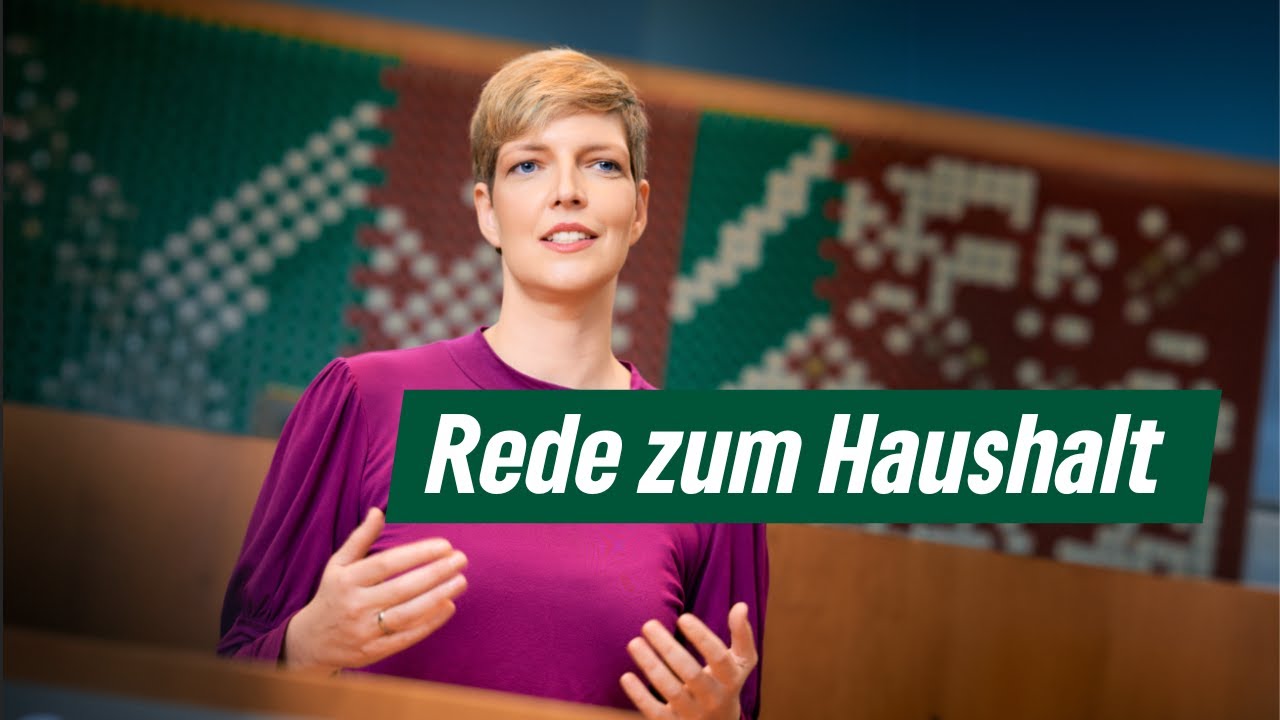 Wibke Brems | Haushaltsrede