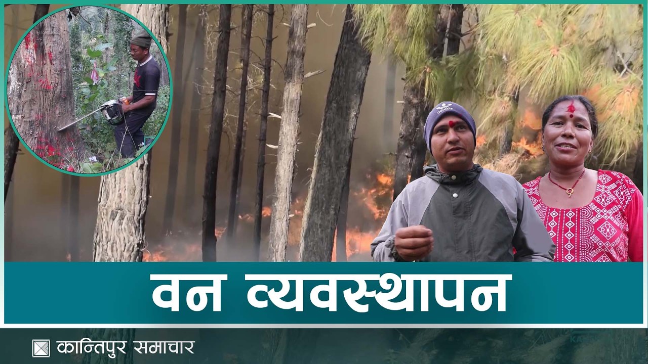 सल्यानमा दिगो वन व्यवस्थापन कार्यक्रम सुरु | Kantipur Samachar