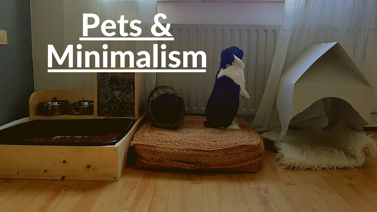 How I Apply Minimalism To Living With Pets