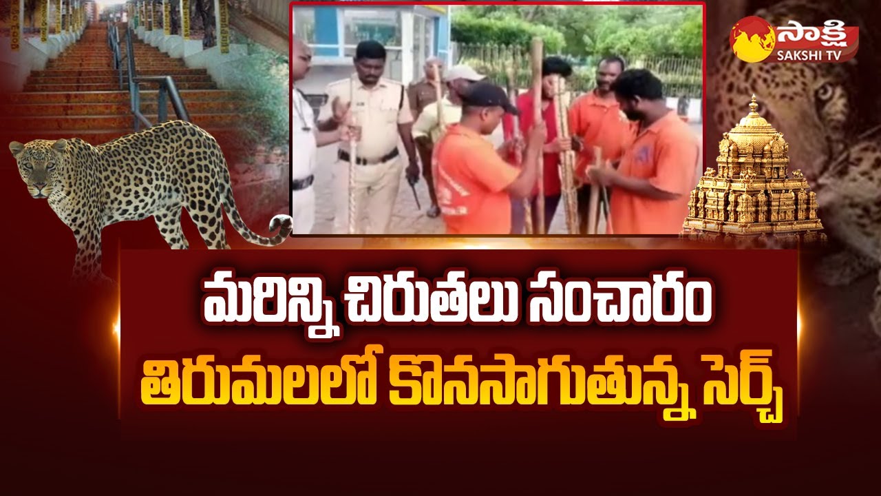 Tirumala Chirutha Attack : Operation Cheetah Continues in Tirumala | Leopard | Tiger |@SakshiTV
