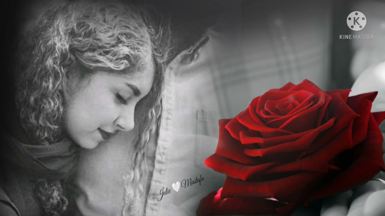 أروع اغاني الحب 😘 اجمل اغاني كرديه للعشاق 💞 حالات واتس اب 💔 الاشتراك بالقناة وشكرا 🤍👍#2021