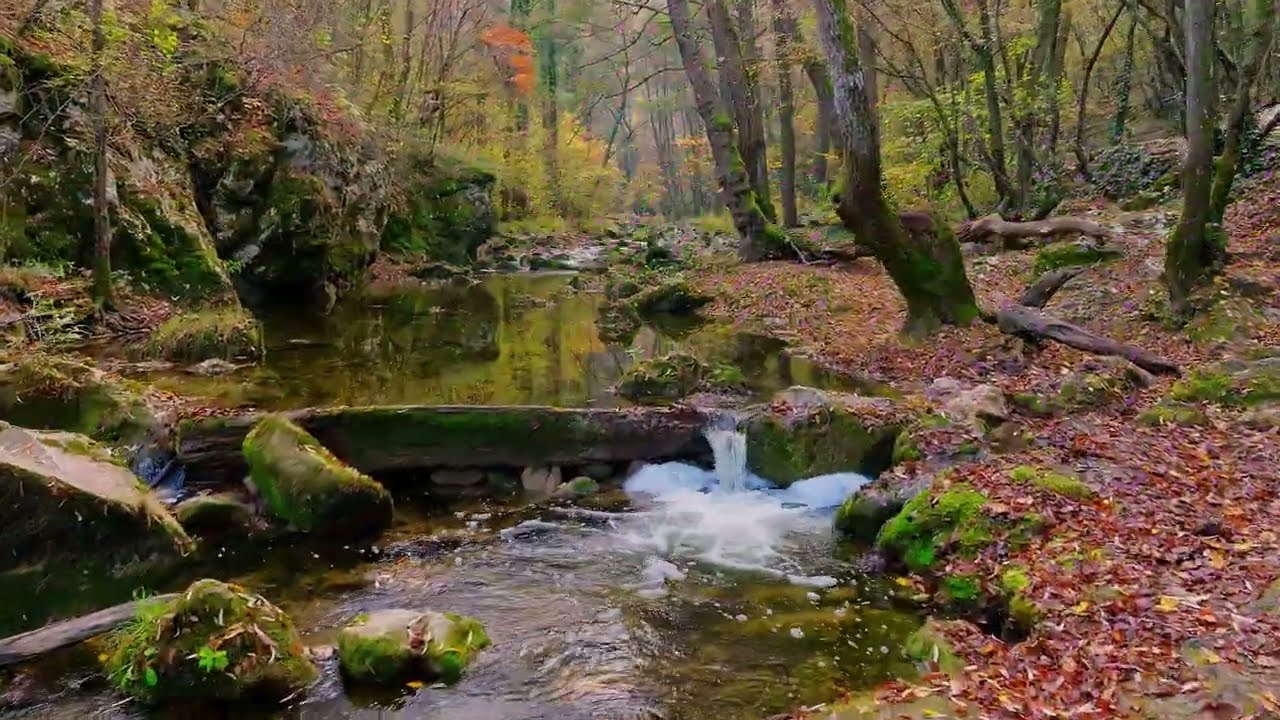 Les ruisseaux du Morvan !