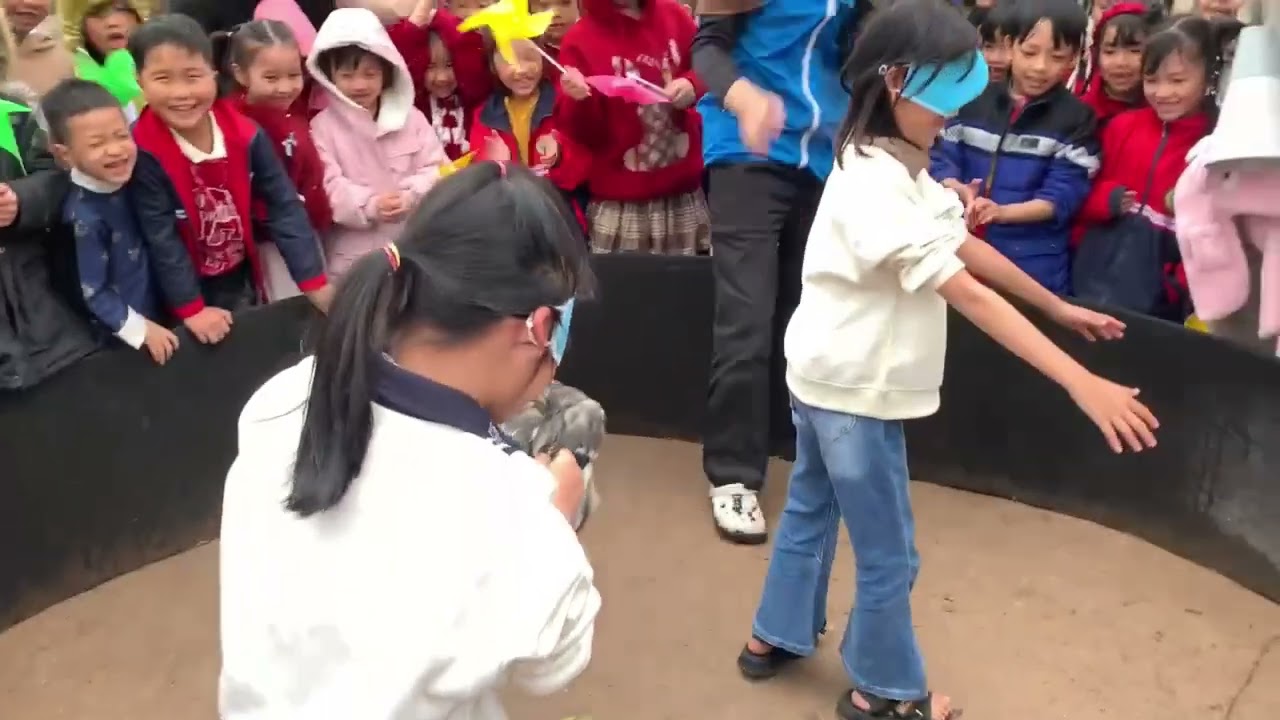 Video trải nghiệm Tết  Bính Ngọ 2026 - Trường Tiểu học Mỹ Thuận