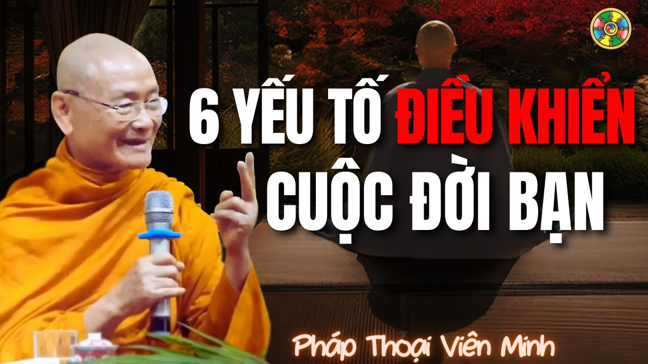 6 Yếu Tố Đang Điều Khiển Cuộc Đời Bạn | Pháp Thoại Thầy Viên Minh