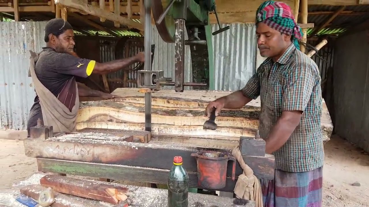 Tree Cutting Chainsaw Tech Skills Bangladesh|| Fantastic Chainsaw Skills by Great Machine