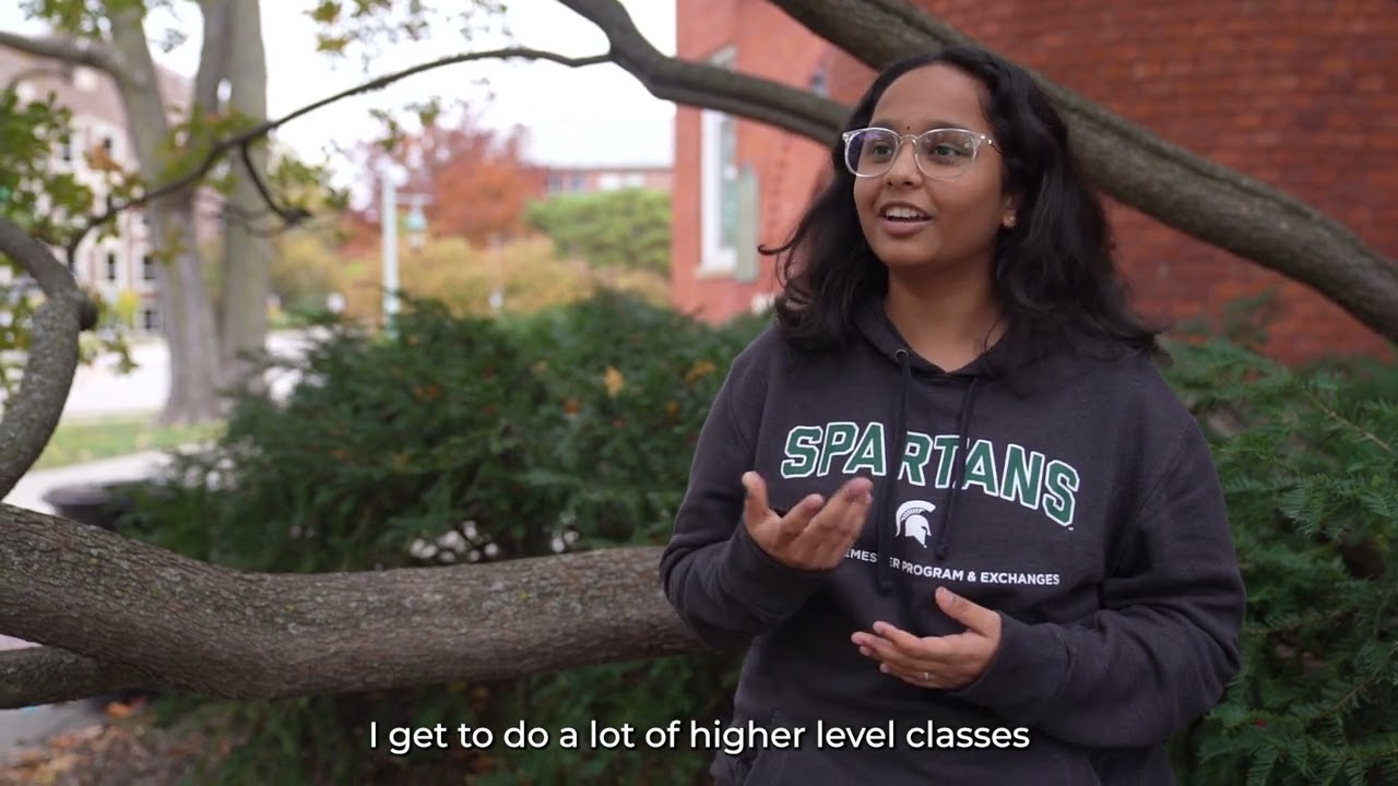 The Honors College admissions process for current MSU students