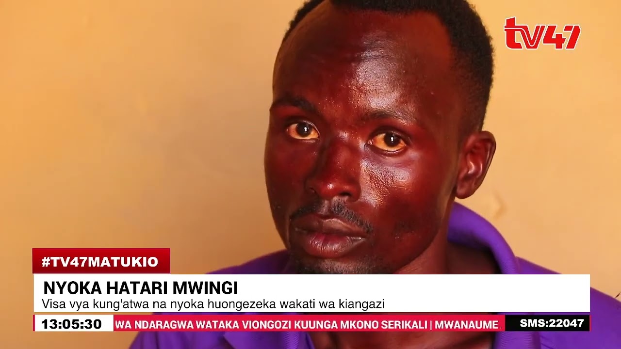 Mwingi: Mwanaume aumwa na nyoka kwenye sehemu zake za siri