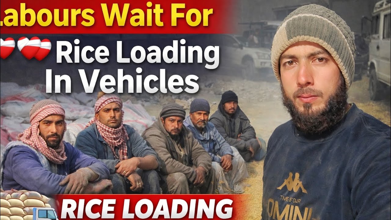 Labours wait for Rice loading in vehicles 😣😣😣😣🤑