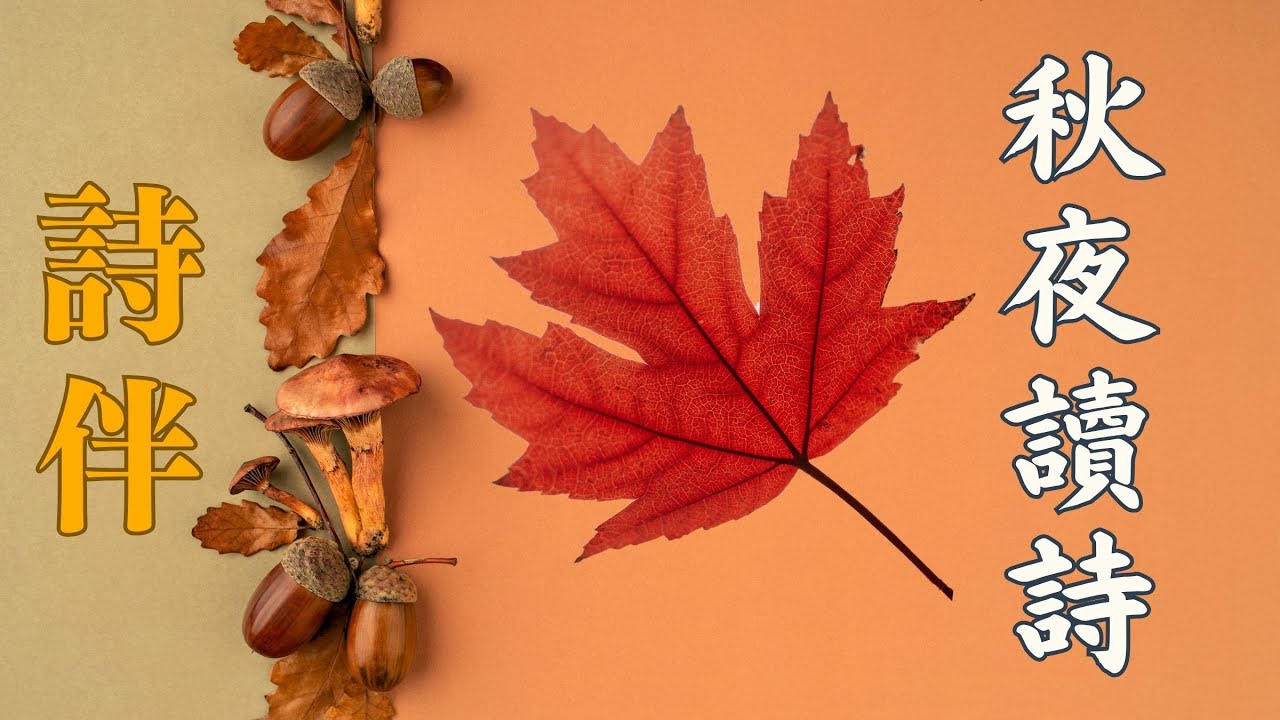 秋夜讀詩，風雅陪伴，邂逅每日的美好。【詩伴直播】#傳統文化 #中國 #古詩詞#詩歌#伴眠