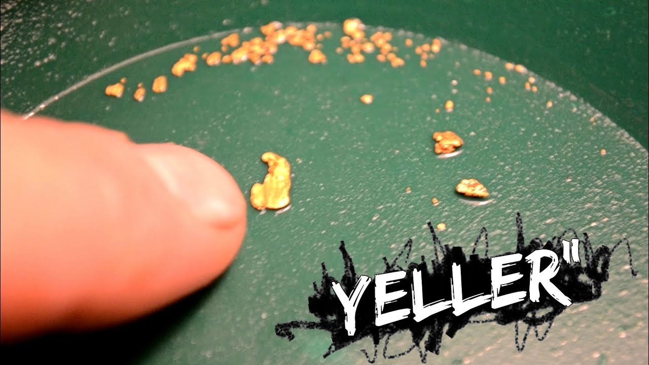 Crevicing Gold - As flat as they get!