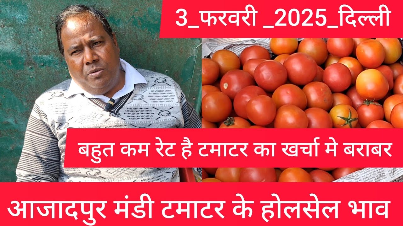 February 3, 2025 दिल्ली 🍅 टमाटर के भाव Delhi mandi today tomato market delhi fruit market #tomato