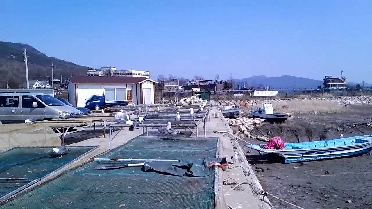 [90초다큐] 강화도 창후리 포구