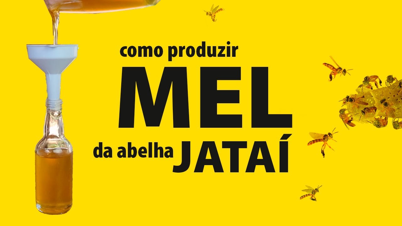 Como produzir mel de abelha Jata&iacute; em casa
