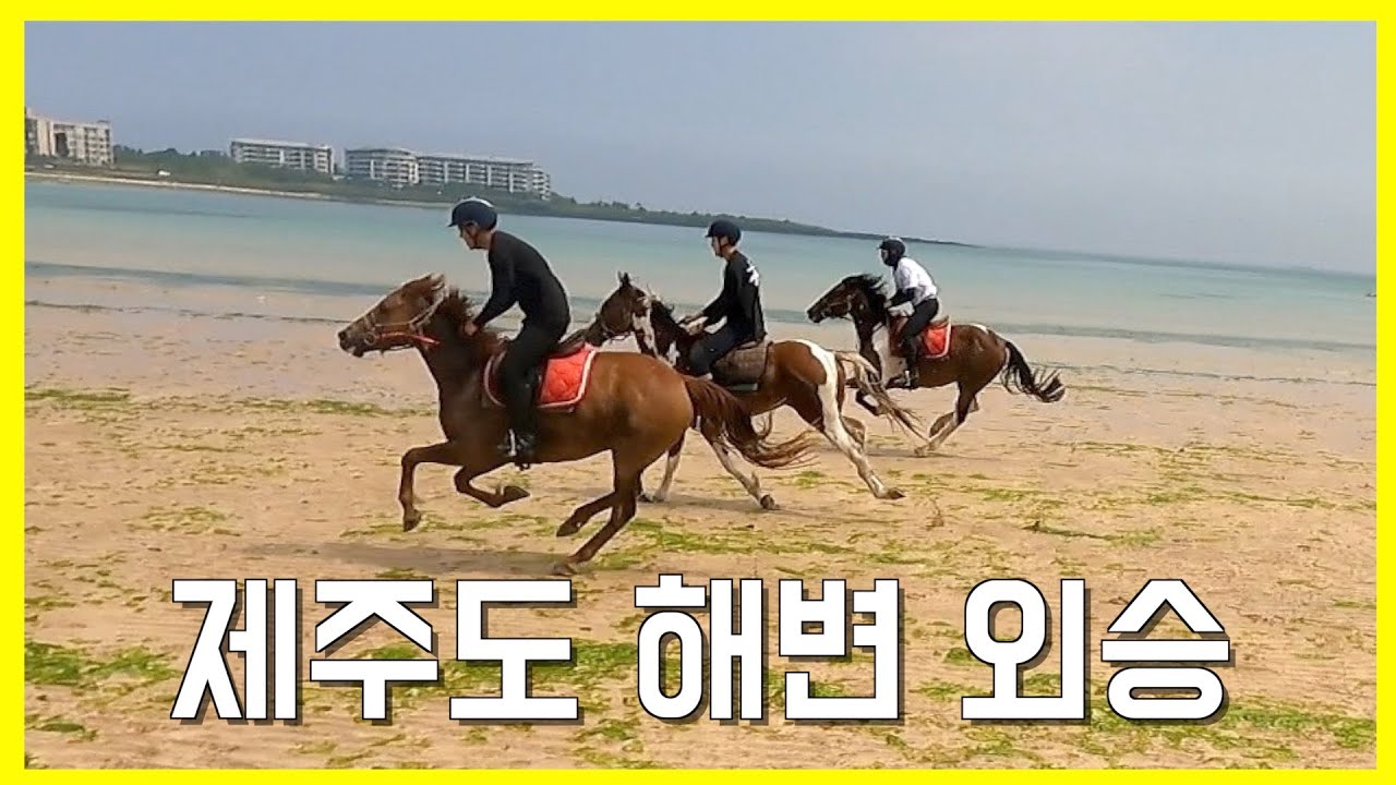 제주하면 외승이지! I 외승의 끝판왕 해변외승