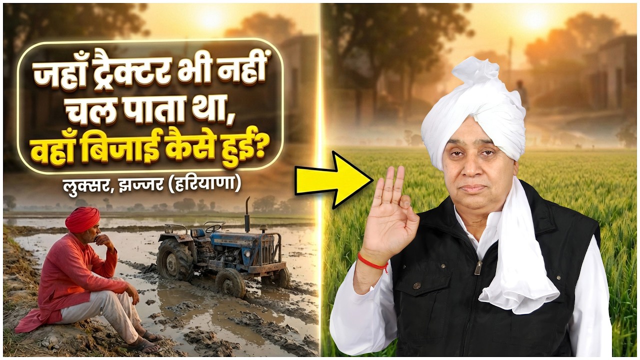 जहाँ ट्रैक्टर भी नहीं चल पाता था, वहाँ बिजाई कैसे हुई? लुक्सर, झज्जर (हरियाणा) SA News Channel