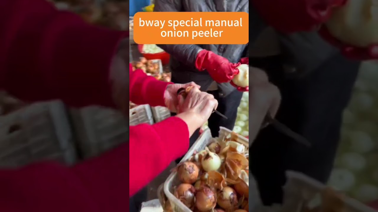 Master in the folks one day peel onion for 100kg