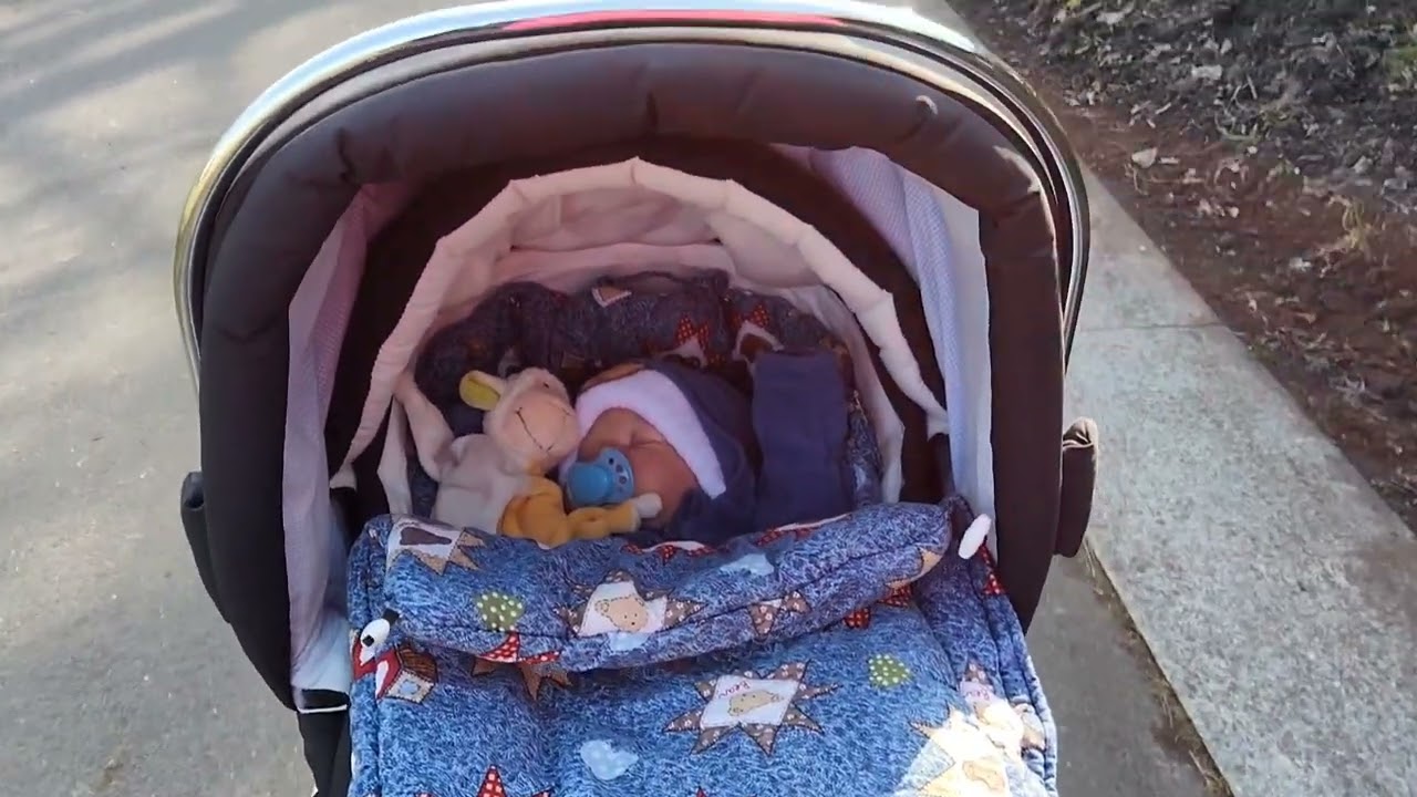 Ein kleiner Spaziergang mit Reborn baby lasse  (unbezahltes Werbevideo)