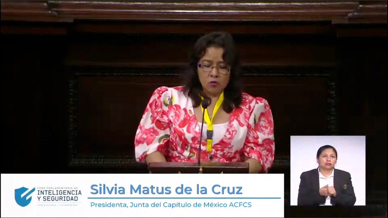 Illicit Finance- Ms. Silvia Matus de la Cruz