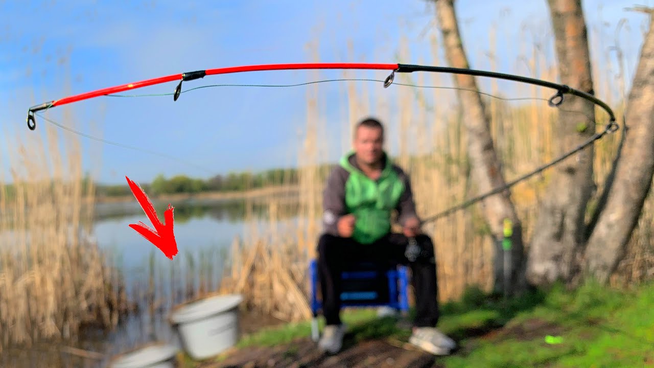 Фидерная рыбалка осенью! Как ловить рыбу на фидер осенью: советы профессионалов для успешной осен...