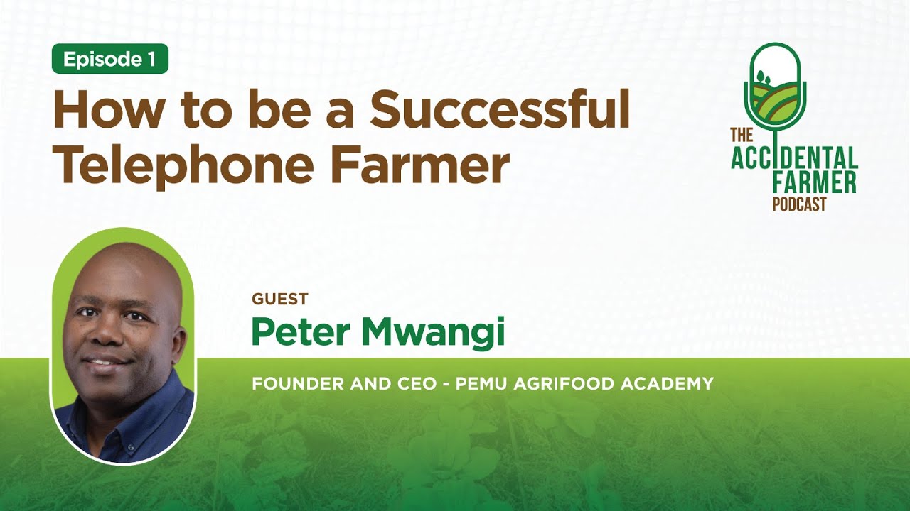 Episode 1: How to be a Successful Telephone Farmer - Insights from Peter Mwangi