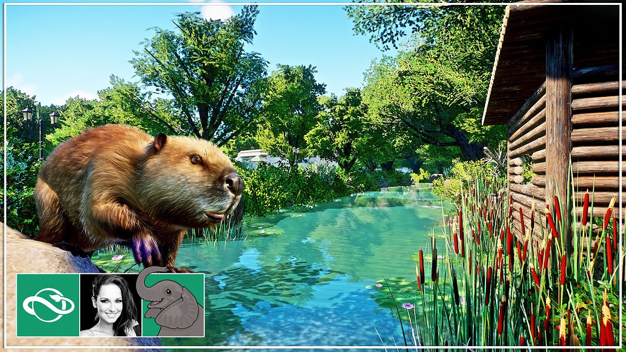 🐘 Building a Natural Beaver River & Beaver Dam Habitat in City Zoo | Planet Zoo Sandbox mode |