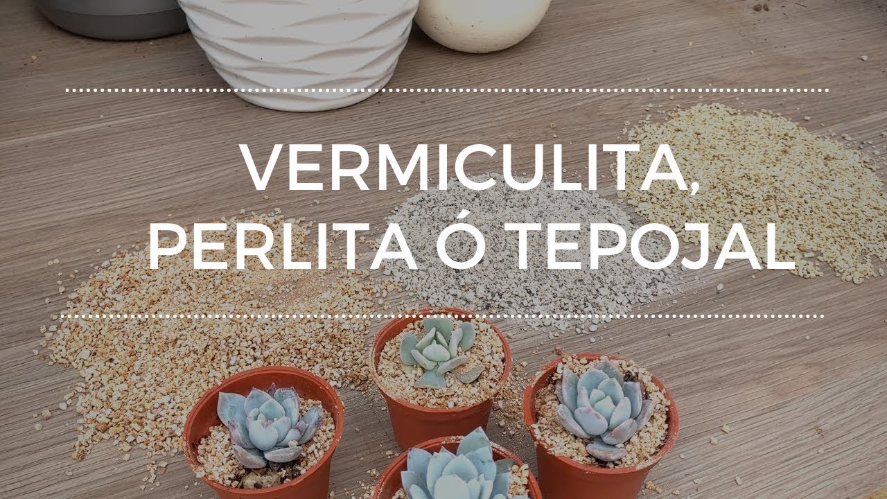 Vermiculita, Perlita o Tepojal. Para que sirven y como los utilizo