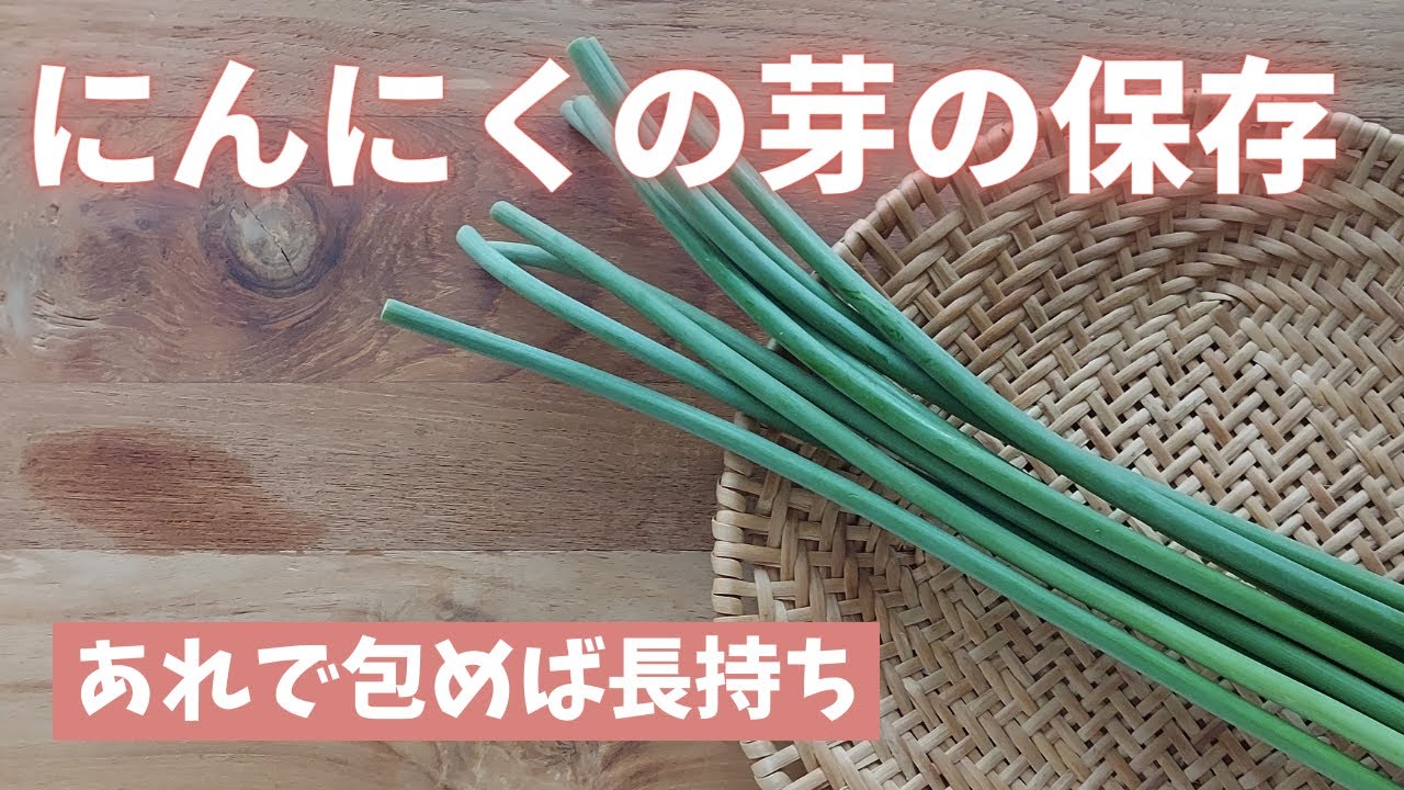 【にんにくの芽の保存＆冷凍】おいしく長持ちするコツをご紹介します！