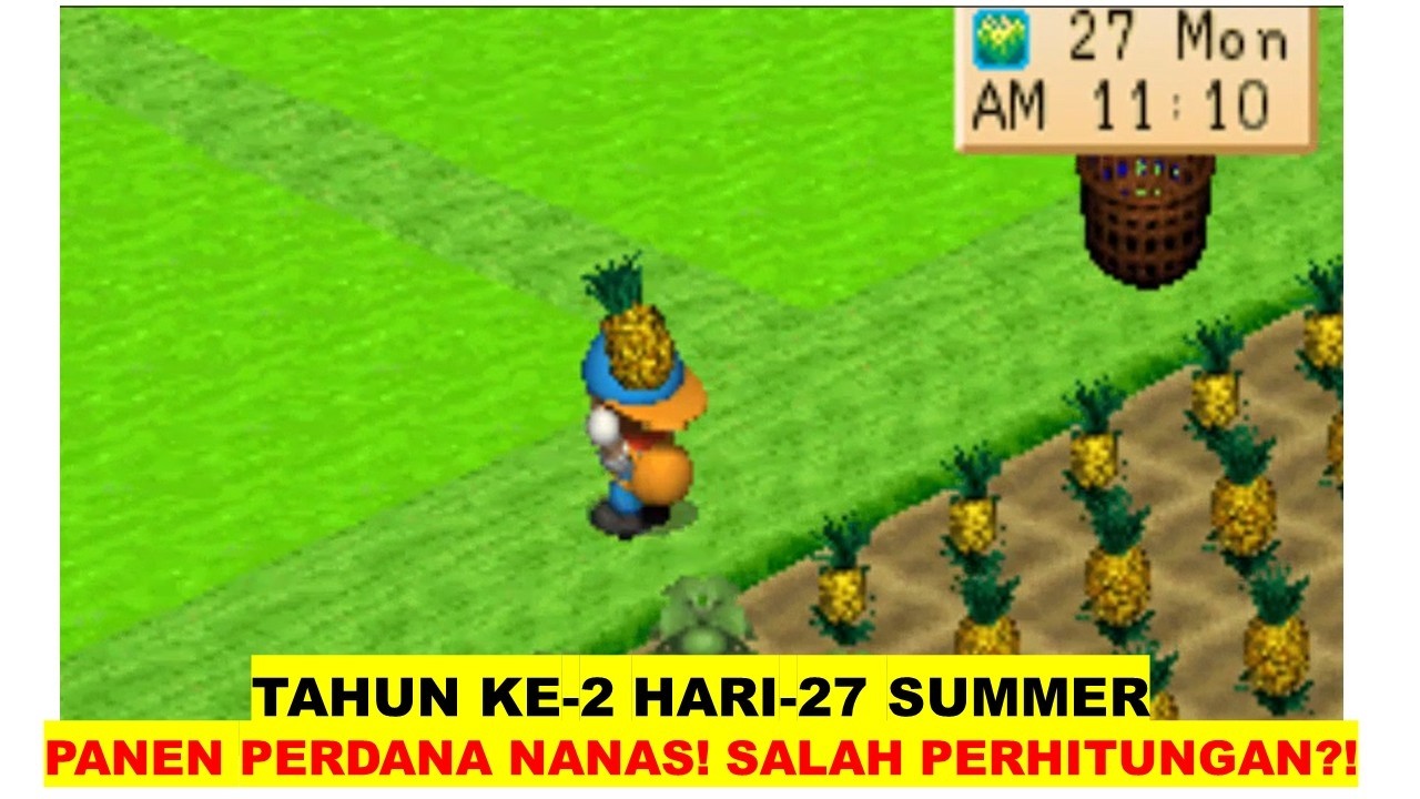 TAHUN KE 2 SUMMER HARI KE 27 PANEN NANAS PERDANAAA