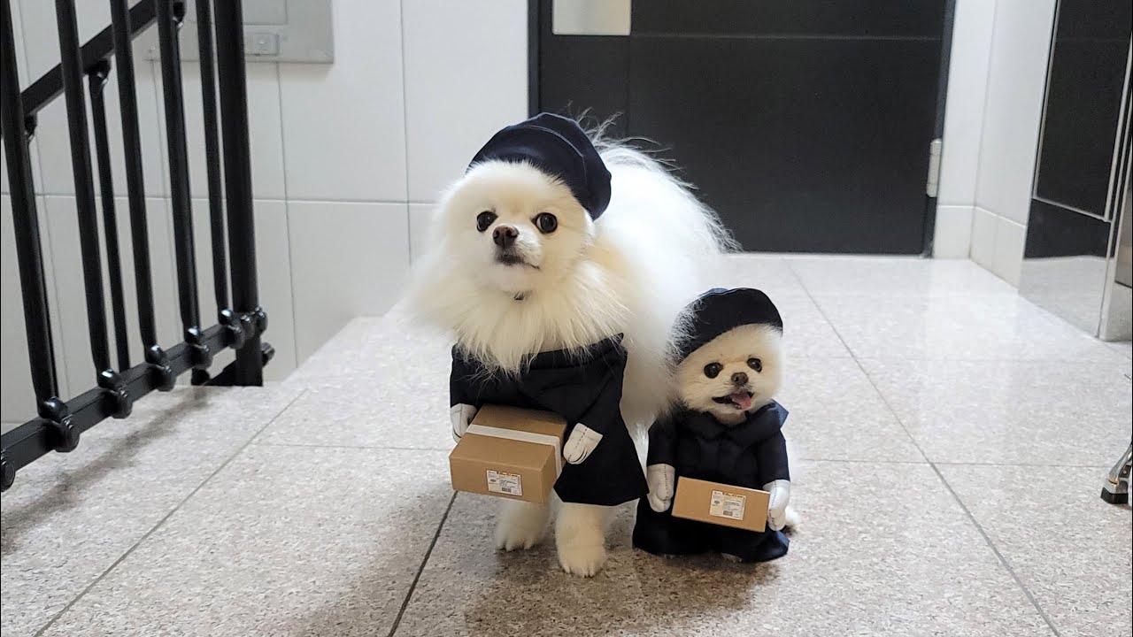루퐁이가 찾아갈개
