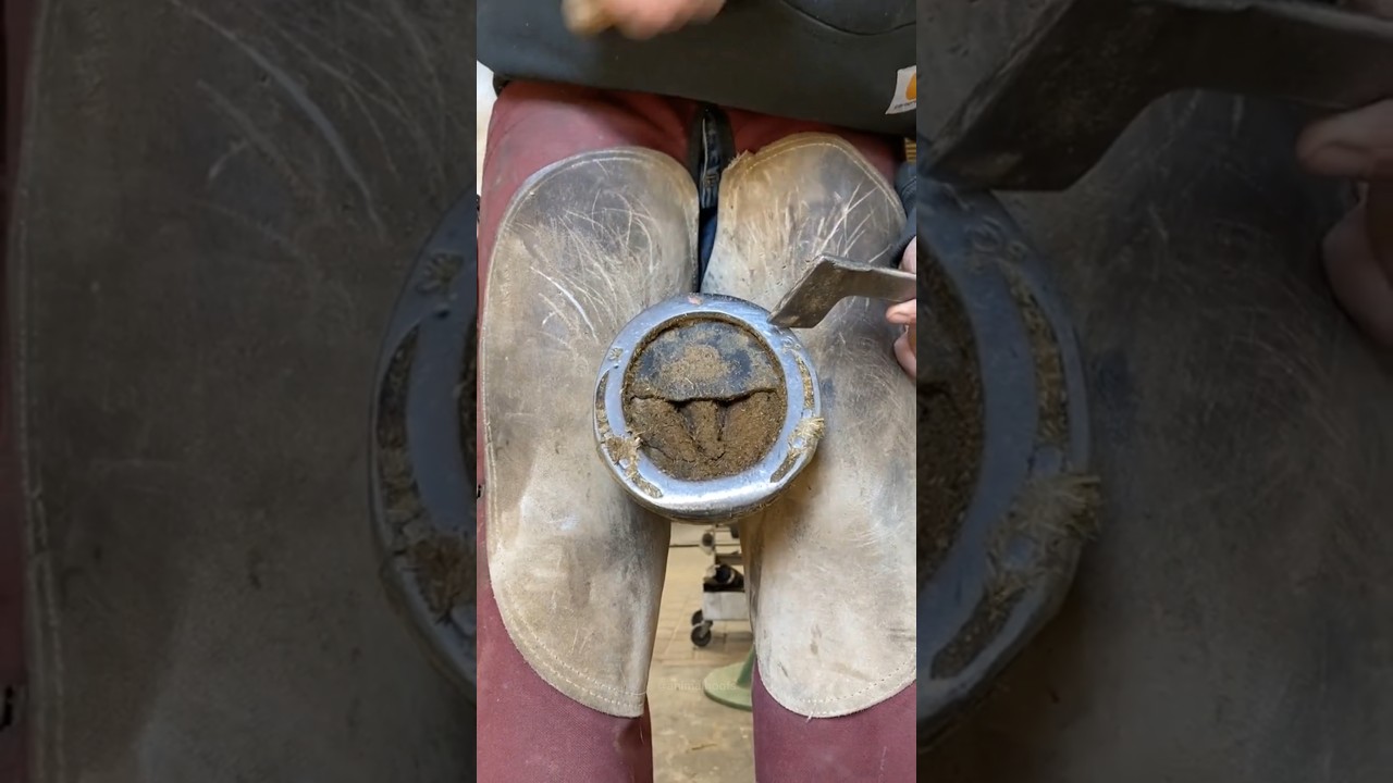 Satisfying hoof trim 