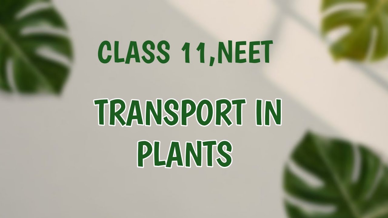 Transport In Plants |Plant Physiology |Lecture 1 |NEET 