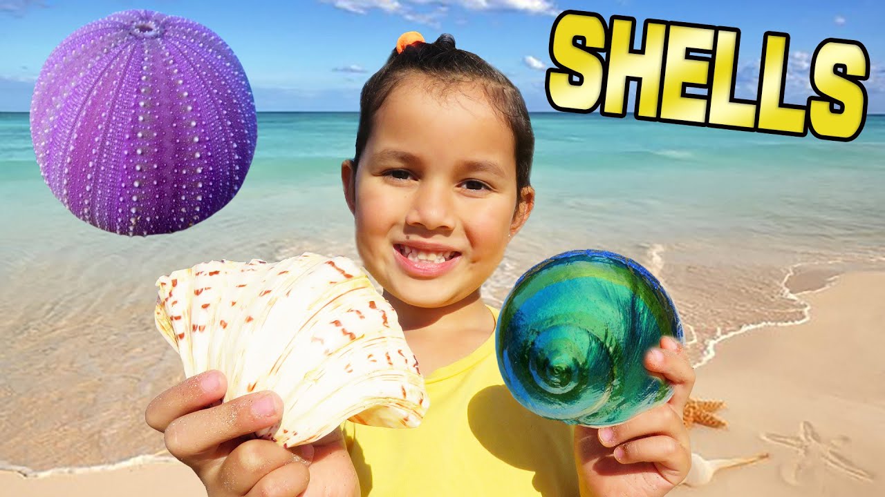 Collecting Shells On The Beach WOW!