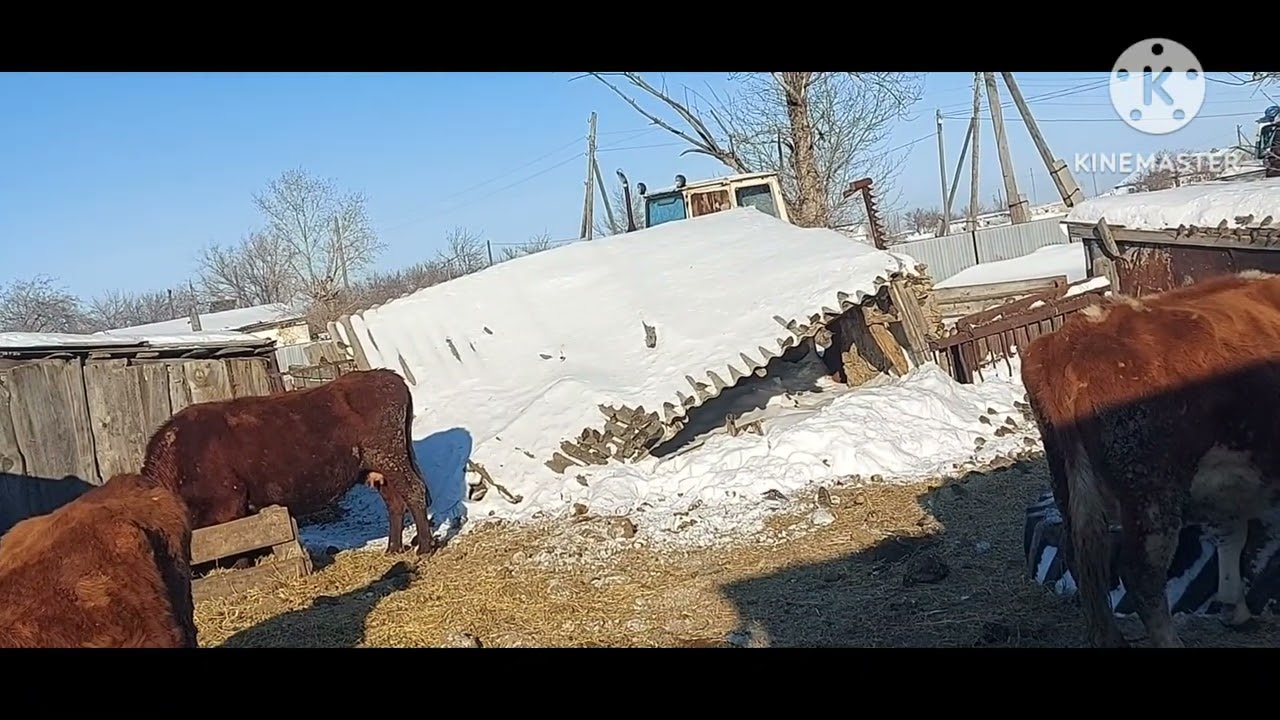 Жизнь в селе#Казахстан#С первым днём весны.