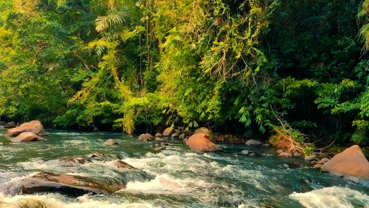 Peaceful Natural River Sounds 🌊 White Noise for Stress Relief