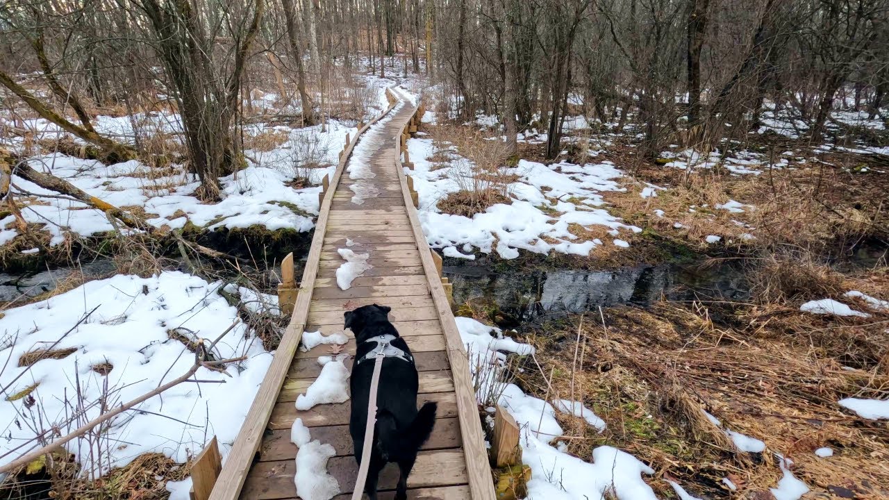 February Hiking in Wisconsin | Ice Age Trail Loew Lake Segment