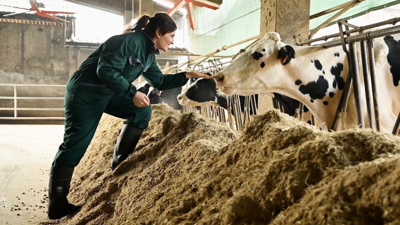 ATZ | DICONO DI NOI | Az. Agricola Sambugaro - San Pietro in GU (PD)