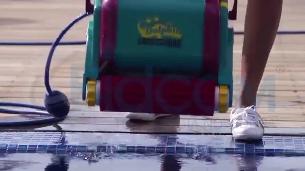 Robot Limpiador de Piscina Dolphin Diagnostic