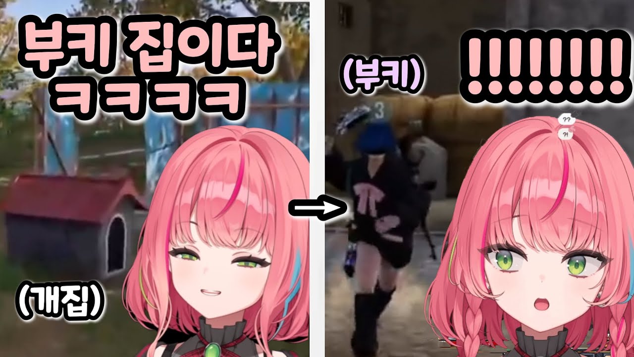 놀렸더니 응징하러 오는 부키 ㅋㅋㅋㅋ