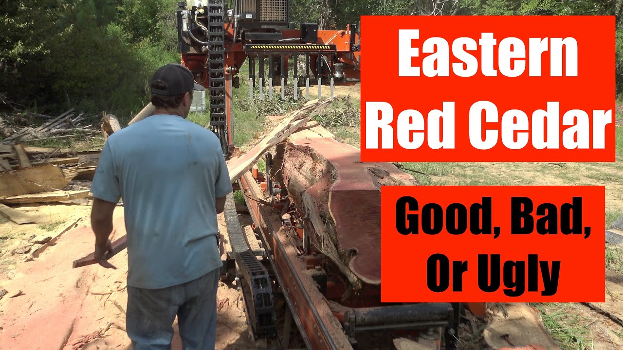 Eastern Red Cedar | Good Bad Or Ugly? | Wood Mizer