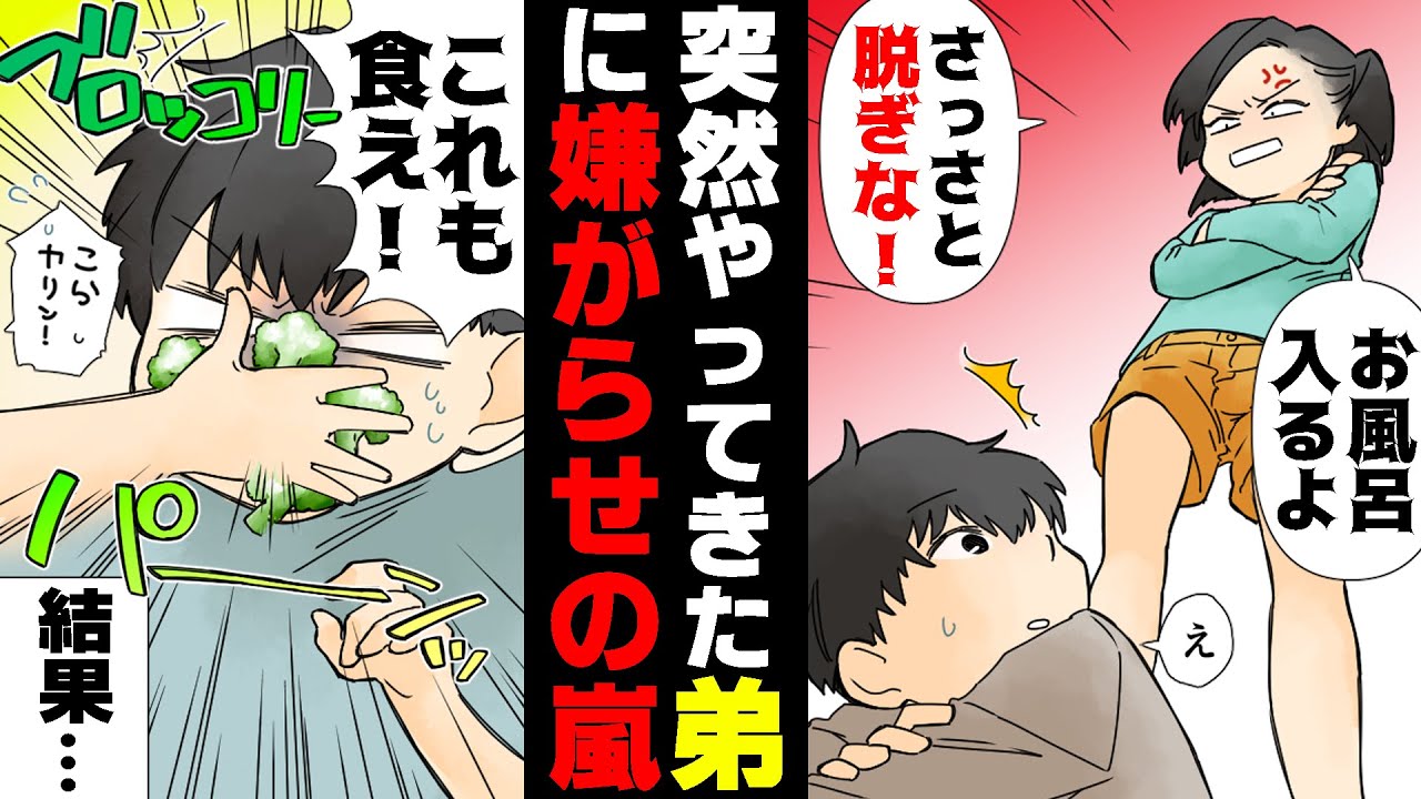 【漫画】「お前さえいなければ...！」親が離婚し、姉は父、僕は母に引き取られた。その後母はいなくなってしまい...