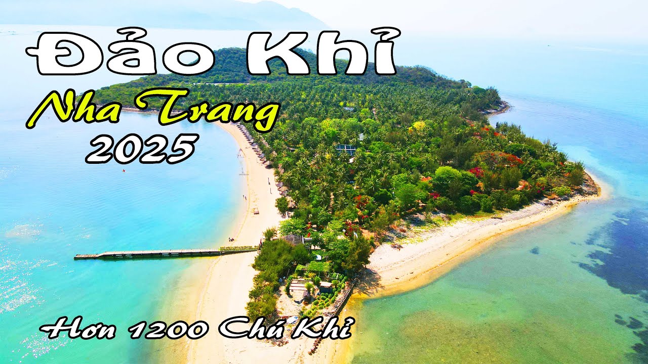 Đảo Khỉ Nha Trang 2025 | Nơi Gặp Gỡ Những Chú Khỉ Tinh Nghịch | QT Dịch Chuyển