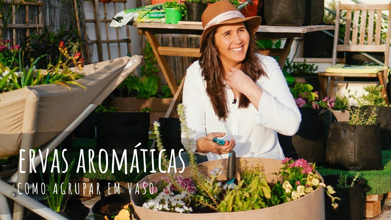 Ervas aromáticas: como agrupar em vaso