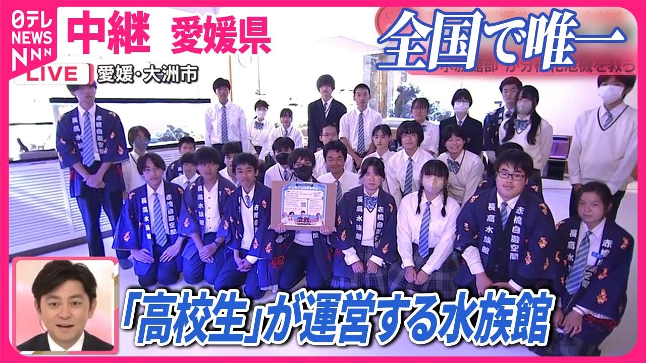 【全国で唯一】「高校生」が運営する「水族館」…アイデア＆生き物愛が満載  水族館部が“分校化”の危機を救う  愛媛県
