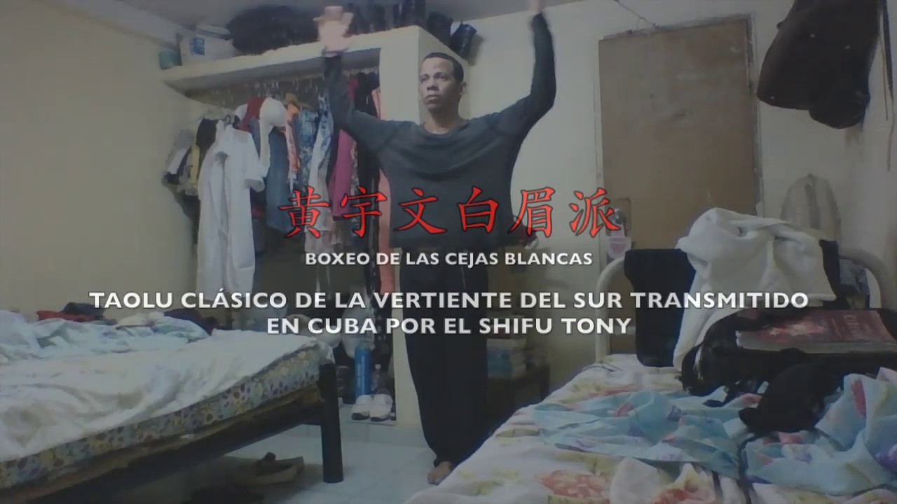 Advanced Techniques of the Wong Yi Man Academy (黄宇文南派套路), Shifu Tony Rey García, Austria-2020