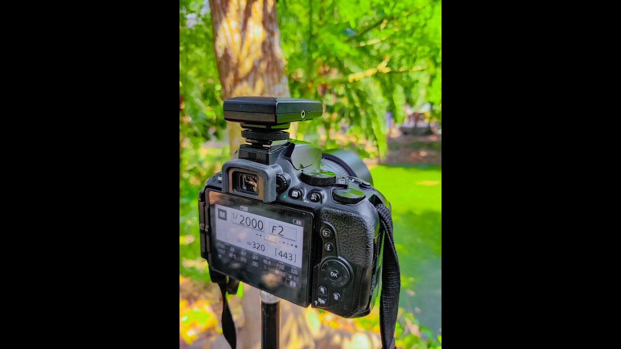 The Best Nikon D5500 Camera for Beginners | #shorts #photography