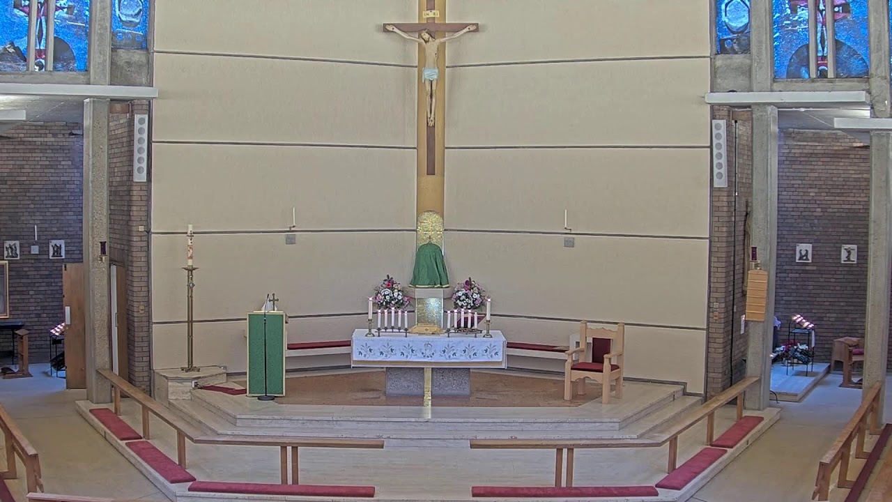 Holy Mass (1.2.2026) | St Thomas More, Sheldon