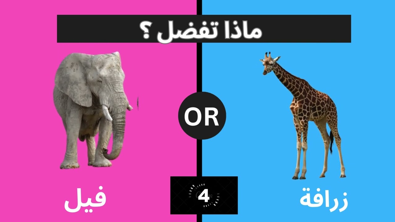ماذا تفضل؟نسخة الحيوانات/ما هو حيوانك المفضل؟هل تحب الحيوانات المنزلية أم البرية؟