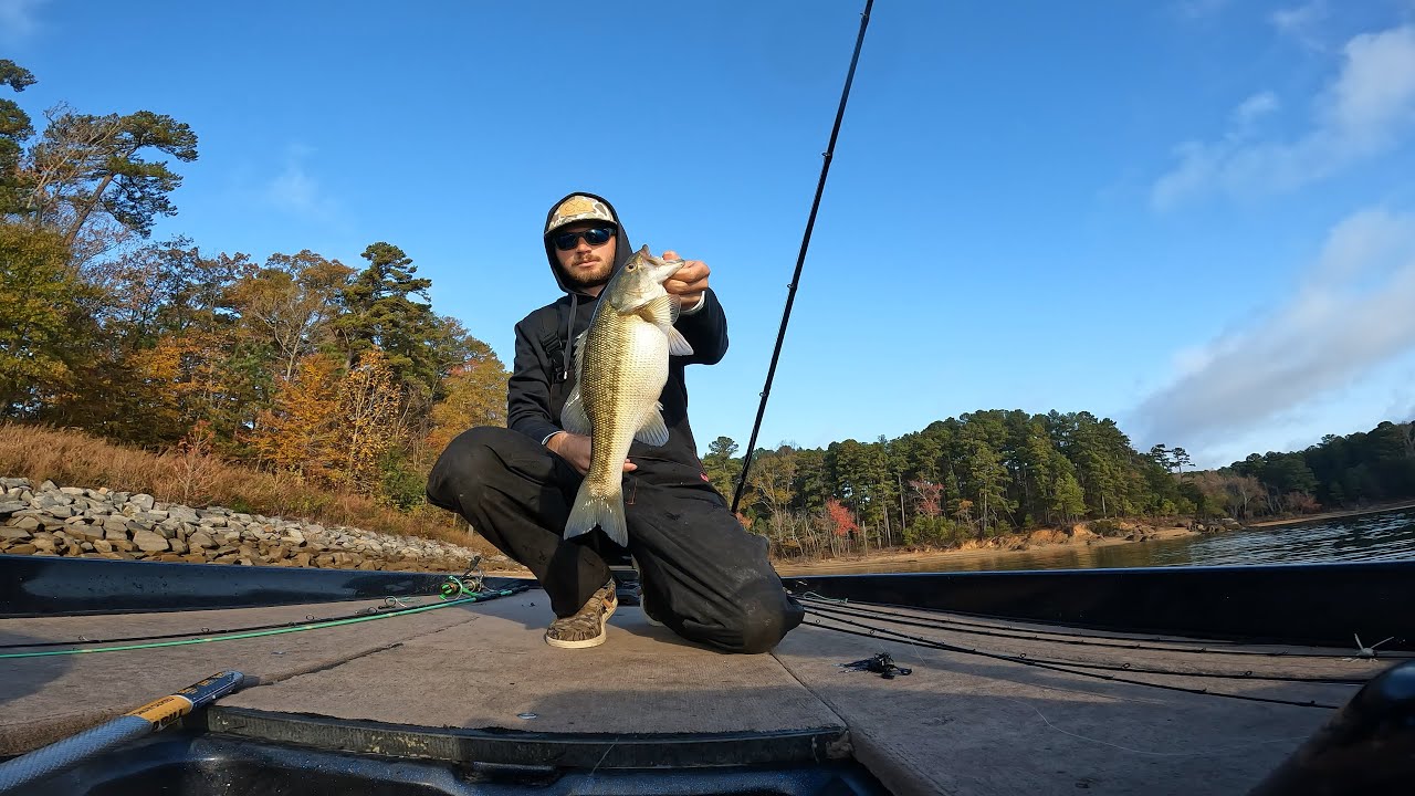 Swinging for The Win! Catt Bass Kings Solo Series Buggs Island - Kerr Lake Fall Bass Fishing