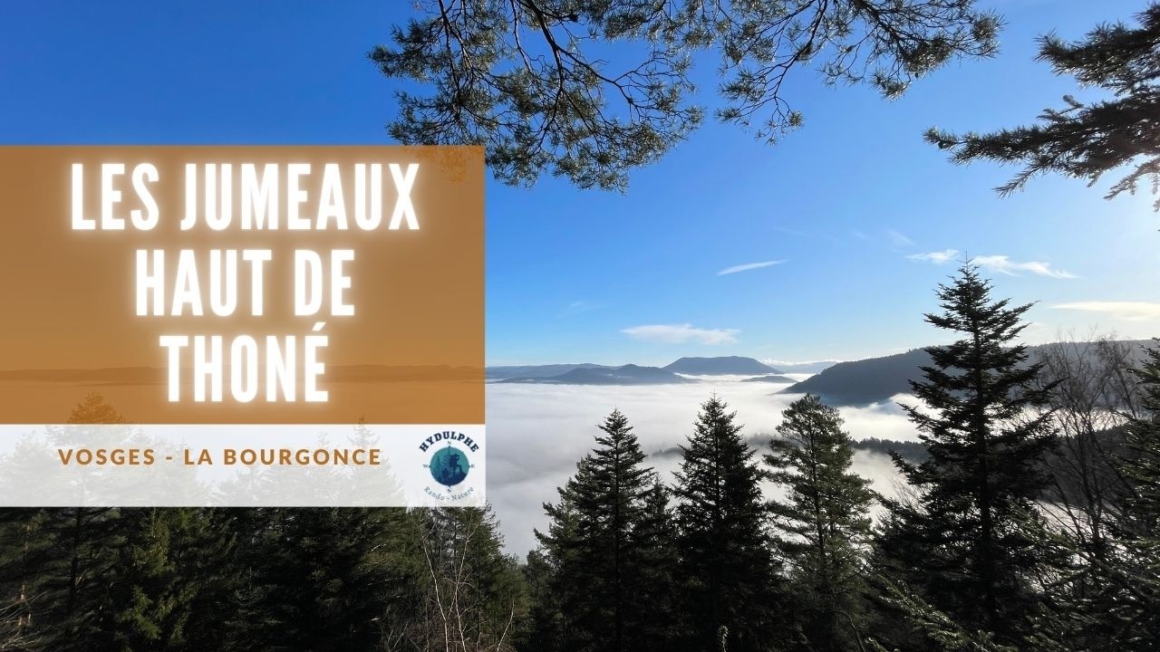 Circuit rando dans les forêts du ban d'Etival-Clairefontaine février 2026